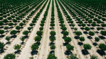 karsten winegeart 3KOEcJ4oqD0 unsplash