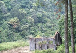 septian setiawan YRtVqNIRMxs unsplash