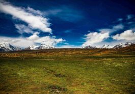 kashish lamba USXHNhYMS w unsplash 11zon