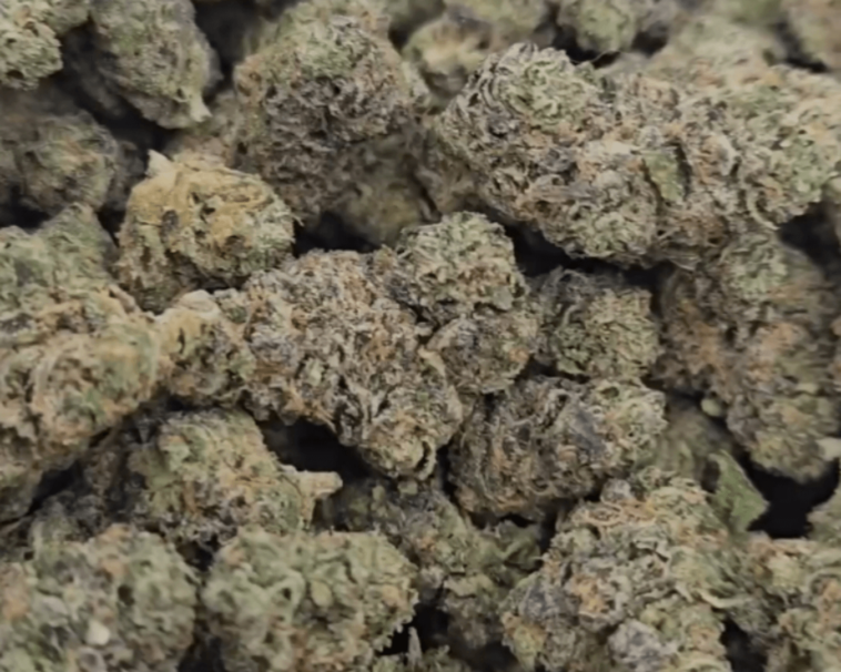 Experience the Ease of Cannabis Delivery DC with Teez DC 1 1074