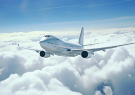 United Airlines LAN Terminal