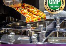 HealthyHey Nutrition Vitamin B1