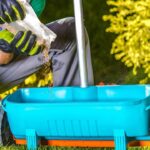 The Ultimate Solution for Lush Lawns: My Guy Pest and Lawn Solutions 20 image 6