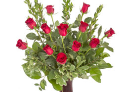 2952 My Valentine HirdJ 3