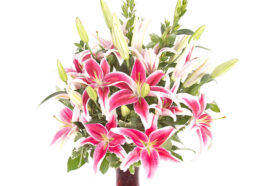 2943 Modern Love HirdJ