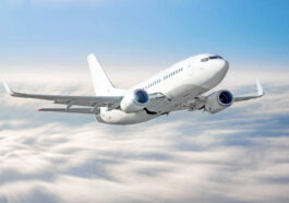 istockphoto 960232280 612x612 1