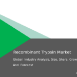 413016 Recombinant Trypsin Report Thumbnail