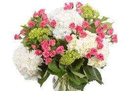 8745 Flower Works web photos HirdJ