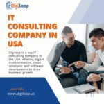 DigiLeap: Leading IT Consulting Company in the USA 21 It Consulting Companies In USA DigiLeap