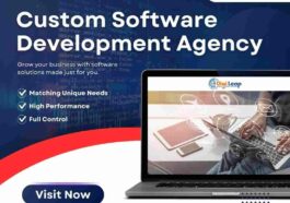 Custom Software Development Agency 1