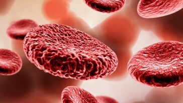 3d render medical background with blood cells 1048 14610