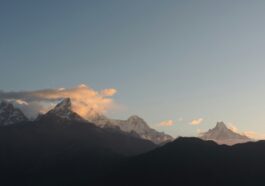 maria bolgiani nbMbRFhGuRc unsplash 1