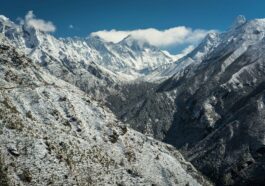 go wild V0yAek6BgGk unsplash