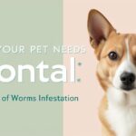 Signs Your Pet Needs Drontal: Symptoms of Worm Infestation 20 Signs Your Pet Needs Drontal 1
