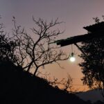 yaswanth gona eWRPzJDyZiE unsplash 1