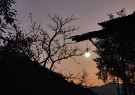 yaswanth gona eWRPzJDyZiE unsplash 1