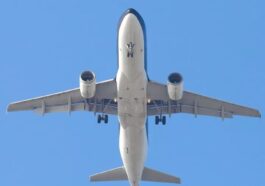 8bd087a0 9724 4318 b7cb 70357483203b