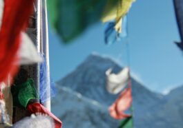 kalle kortelainen TiIRgk9 xcs unsplash