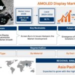 AMOLED Display Market