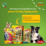 Transforming Industries – Damigo’s Impact on Pakistan’s Growth 20 mob 1