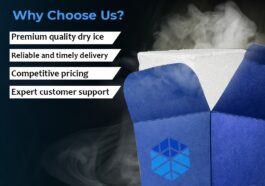 WhatsApp Image 2025 03 12 at 4.54.08 PM