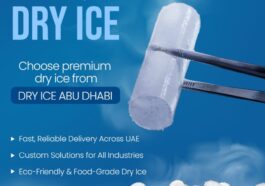 WhatsApp Image 2025 03 13 at 2.28.47 PM