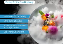 WhatsApp Image 2025 03 14 at 3.57.00 PM