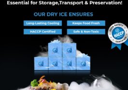 WhatsApp Image 2025 03 17 at 4.38.39 PM