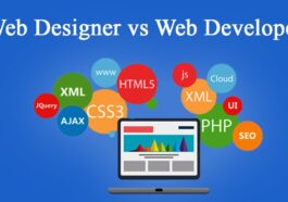 difference between web design and web development