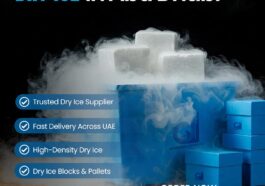 WhatsApp Image 2025 03 20 at 6.12.02 PM