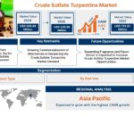 Crude Sulfate Turpentine Market 1