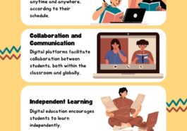 Course after 12th commerce