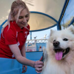 Dog Care Services in London Ultimate Guide for Pet Owners 20 Aussie pooch mobile dog wash