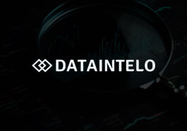 dataintelo 1