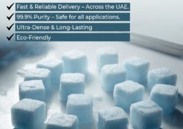 WhatsApp Image 2025 03 26 at 4.49.43 PM