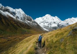 le tan qziIV0 vCGQ unsplash 1