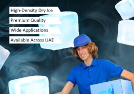 WhatsApp Image 2025 03 27 at 4.57.54 PM 1