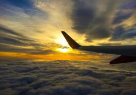 pexels davidmcbee 115491 7