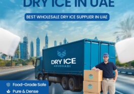 WhatsApp Image 2025 03 28 at 4.53.49 PM