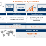 5-Isopropyl-m-Xylene Market Share Analysis & Growth Forecast 2031 21 5 Isopropyl m Xylene market