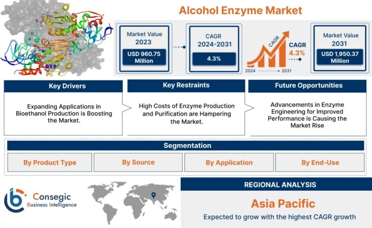 Alcohol Enzyme Market Size, Share & Growth Analysis Report 2031 1 Alcohol Enzyme Market