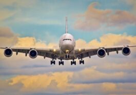 d8d0dd57 9b39 4ab8 b35d d3c03ed26024