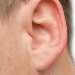 Picture background 2 1