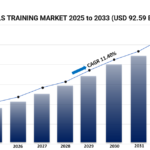 Global Soft Skills Training Market: Size, Share, Forecast 2025-2033 20 Soft Skills Training Market