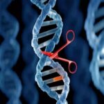 Crispr And Cas Gene Market 1