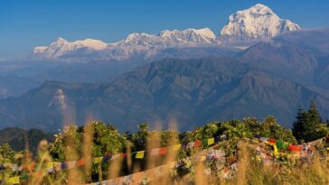 himalayan local guide NHQwyfSp0I0 unsplash