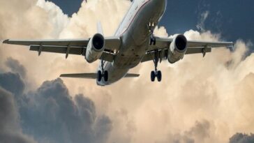 pexels pixabay 46148 1 2