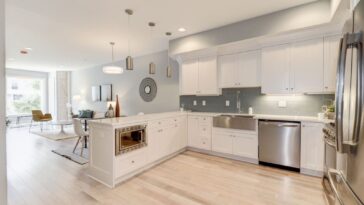 kitchen remodeling Bellevue process 1024x683 1