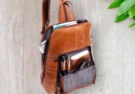 Women Leather Bags2 thumbs 500X500