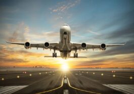 Turkish Airlines LAX Terminal 1